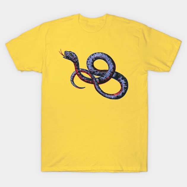 Danger! Noodle! T-Shirt by Phosfate